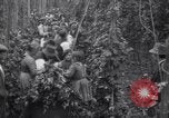 Image of hoppers of kent Kent England United Kingdom, 1915, second 18 stock footage video 65675029967