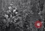 Image of hoppers of kent Kent England United Kingdom, 1915, second 22 stock footage video 65675029967