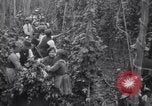 Image of hoppers of kent Kent England United Kingdom, 1915, second 23 stock footage video 65675029967