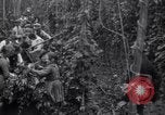 Image of hoppers of kent Kent England United Kingdom, 1915, second 27 stock footage video 65675029967