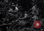 Image of hoppers of kent Kent England United Kingdom, 1915, second 29 stock footage video 65675029967