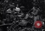 Image of hoppers of kent Kent England United Kingdom, 1915, second 35 stock footage video 65675029967