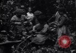 Image of hoppers of kent Kent England United Kingdom, 1915, second 37 stock footage video 65675029967
