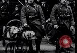 Immagine di Soldati belgi New York United States USA, 1919, secondo 25 filmato di repertorio 65675029969