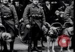 Immagine di Soldati belgi New York United States USA, 1919, secondo 29 filmato di repertorio 65675029969