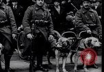Immagine di Soldati belgi New York United States USA, 1919, secondo 30 filmato di repertorio 65675029969