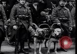 Immagine di Soldati belgi New York United States USA, 1919, secondo 31 filmato di repertorio 65675029969