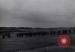 Image British 6e (Inniskilling) Dragoons Front Ouest, 1915, de la seconde 8 séquences d'archives historiques vidéo 65675029971