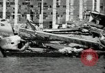 Standbild zerstörte Flugzeuge nach Angriff Pearl Harbor Hawaii USA, 1941, aus Sekunde 15 historischem Filmmaterial Videoclip 65675029980