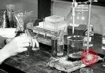 Image of lab-experiments United States USA, 1942, second 24 stock footage video 65675029985