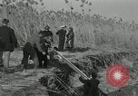 Immagine di USS Panay superstiti Cina, 1937, secondo 43 filmato di repertorio 65675029990