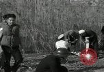 Immagine di USS Panay superstiti Cina, 1937, secondo 57 filmato di repertorio 65675029990