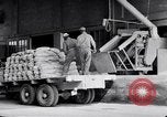 Immagine di Sacchi riempiti United States USA, 1938, secondo 3 filmato di repertorio 65675029996