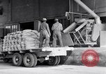 Immagine di Sacchi riempiti United States USA, 1938, secondo 5 filmato di repertorio 65675029996