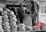 Immagine di Sacchi riempiti United States USA, 1938, secondo 6 filmato di repertorio 65675029996