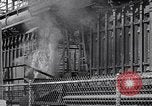 Image of tire production Michigan United States USA, 1938, second 62 stock footage video 65675030008