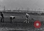 Immagine di Giardino dei lavoratori Dearborn Michigan USA, 1946, secondo 6 filmato di repertorio 65675030015