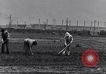 Immagine di Giardino dei lavoratori Dearborn Michigan USA, 1946, secondo 7 filmato di repertorio 65675030015