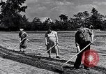 Immagine di Giardino dei lavoratori Dearborn Michigan USA, 1946, secondo 8 filmato di repertorio 65675030015