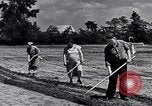 Immagine di Giardino dei lavoratori Dearborn Michigan USA, 1946, secondo 9 filmato di repertorio 65675030015