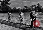 Immagine di Giardino dei lavoratori Dearborn Michigan USA, 1946, secondo 10 filmato di repertorio 65675030015
