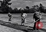 Immagine di Giardino dei lavoratori Dearborn Michigan USA, 1946, secondo 11 filmato di repertorio 65675030015