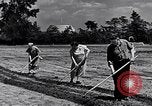 Immagine di Giardino dei lavoratori Dearborn Michigan USA, 1946, secondo 12 filmato di repertorio 65675030015