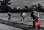 Immagine di Giardino dei lavoratori Dearborn Michigan USA, 1946, secondo 13 filmato di repertorio 65675030015