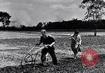 Immagine di Giardino dei lavoratori Dearborn Michigan USA, 1946, secondo 15 filmato di repertorio 65675030015
