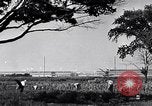 Immagine di Giardino dei lavoratori Dearborn Michigan USA, 1946, secondo 23 filmato di repertorio 65675030015