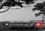 Immagine di Giardino dei lavoratori Dearborn Michigan USA, 1946, secondo 26 filmato di repertorio 65675030015