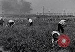 Immagine di Giardino dei lavoratori Dearborn Michigan USA, 1946, secondo 30 filmato di repertorio 65675030015