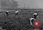 Immagine di Giardino dei lavoratori Dearborn Michigan USA, 1946, secondo 32 filmato di repertorio 65675030015