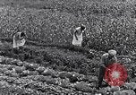 Immagine di Giardino dei lavoratori Dearborn Michigan USA, 1946, secondo 35 filmato di repertorio 65675030015