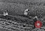 Immagine di Giardino dei lavoratori Dearborn Michigan USA, 1946, secondo 37 filmato di repertorio 65675030015