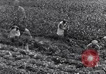 Immagine di Giardino dei lavoratori Dearborn Michigan USA, 1946, secondo 41 filmato di repertorio 65675030015
