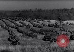 Image of Ford Jeep United States USA, 1944, second 17 stock footage video 65675030019
