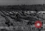 Image of Ford Jeep United States USA, 1944, second 19 stock footage video 65675030019