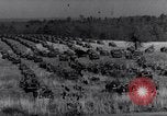Image of Ford Jeep United States USA, 1944, second 20 stock footage video 65675030019