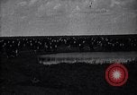 Image of meat industry United States USA, 1919, second 38 stock footage video 65675030036