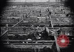Image of meat industry United States USA, 1919, second 56 stock footage video 65675030036
