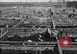 Image of meat industry United States USA, 1919, second 57 stock footage video 65675030036