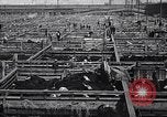 Image of meat industry United States USA, 1919, second 58 stock footage video 65675030036