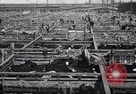 Image of meat industry United States USA, 1919, second 59 stock footage video 65675030036