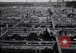 Image of meat industry United States USA, 1919, second 61 stock footage video 65675030036