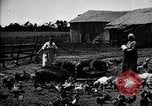 Standbild Schweinefleisch Verpackung United States USA, 1919, aus Sekunde 15 historischem Filmmaterial Videoclip 65675030037