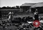 Standbild Schweinefleisch Verpackung United States USA, 1919, aus Sekunde 16 historischem Filmmaterial Videoclip 65675030037