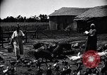 Standbild Schweinefleisch Verpackung United States USA, 1919, aus Sekunde 18 historischem Filmmaterial Videoclip 65675030037