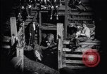 Standbild Schweinefleisch Verpackung United States USA, 1919, aus Sekunde 21 historischem Filmmaterial Videoclip 65675030037