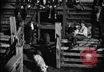 Standbild Schweinefleisch Verpackung United States USA, 1919, aus Sekunde 22 historischem Filmmaterial Videoclip 65675030037